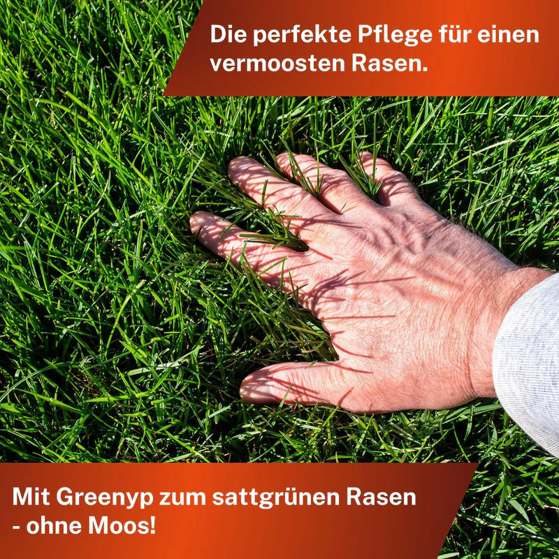Greenyp Anti-Moos Rasendünger Dünger