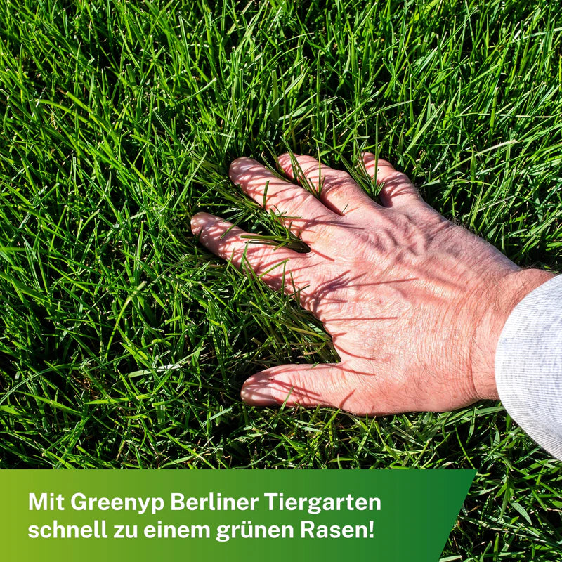 Greenyp Berliner Tiergarten Rasensamen | Strapazierfähiger Universalrasen