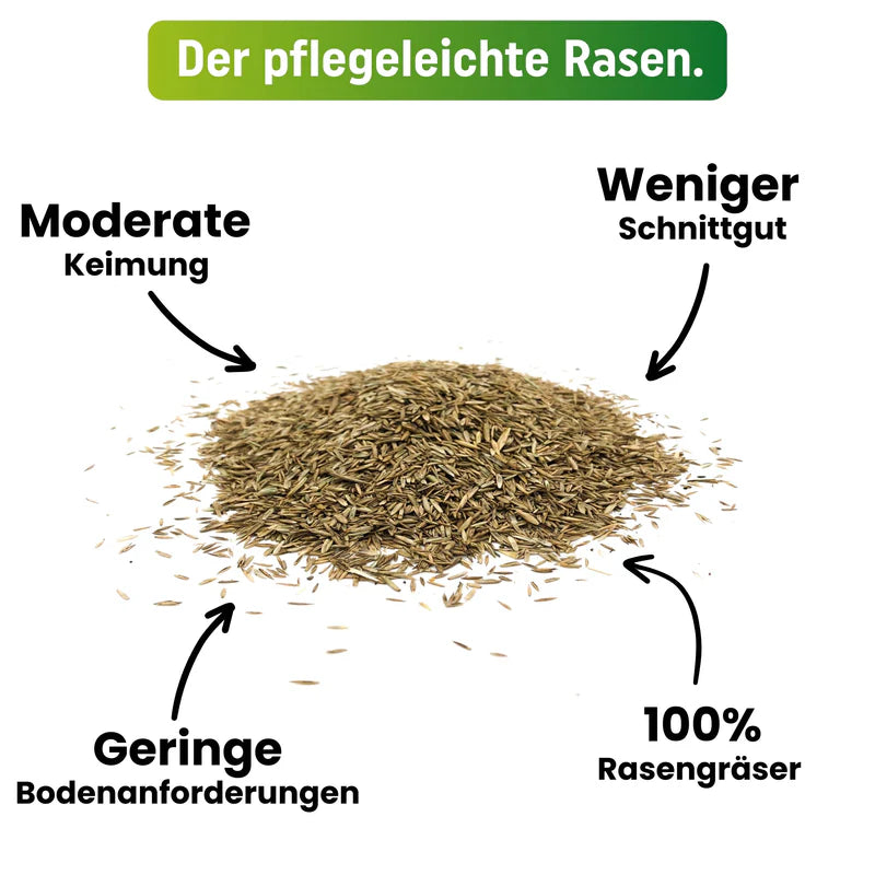 Greenyp Super Rasen Rasensamen Premium Zierrasen