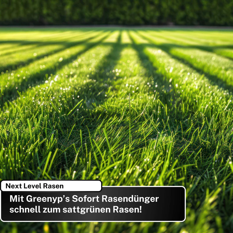 Greenyp Sofort Rasendünger Dünger Sofortdünger