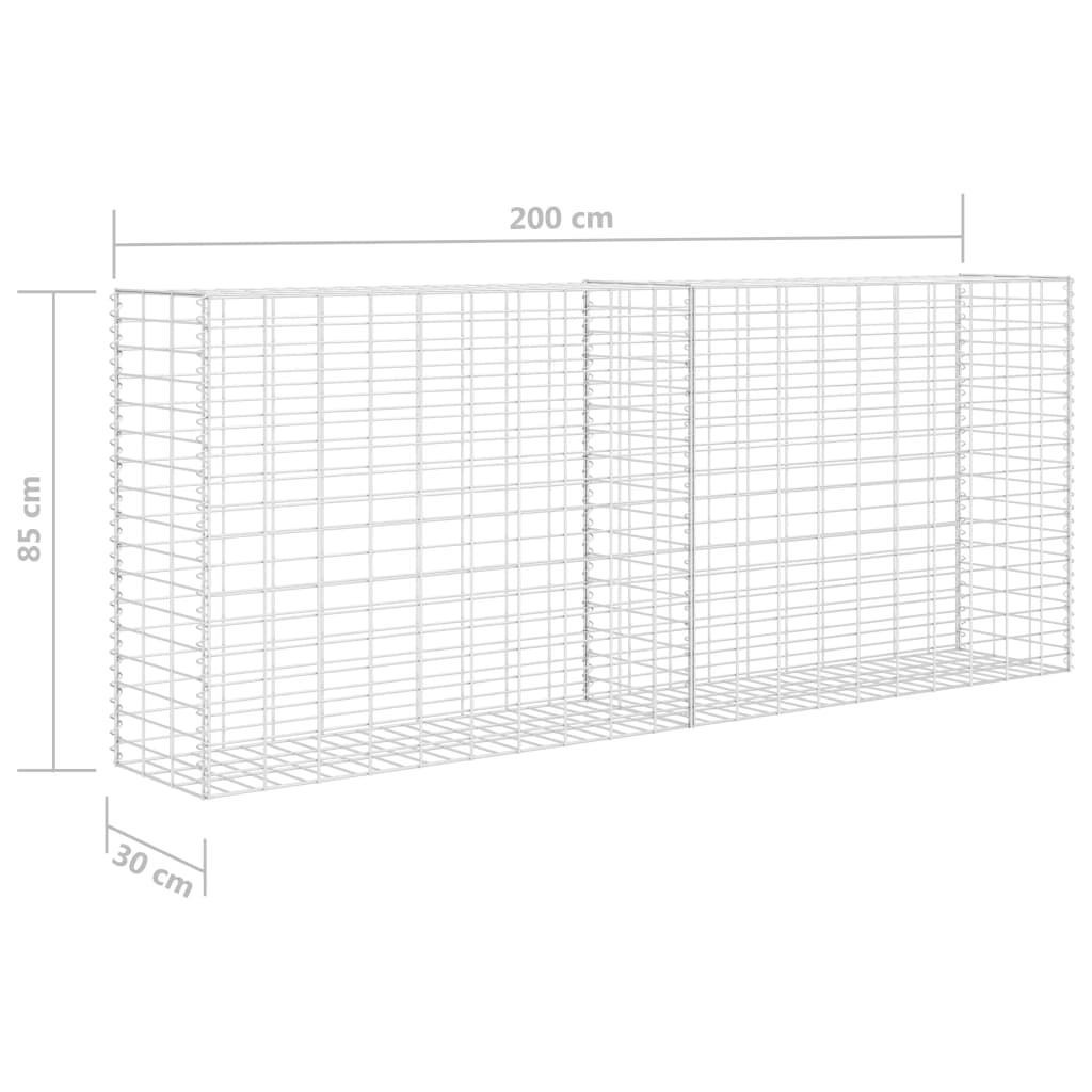 Gabione Verzinkter Stahl 85X30X200 Cm