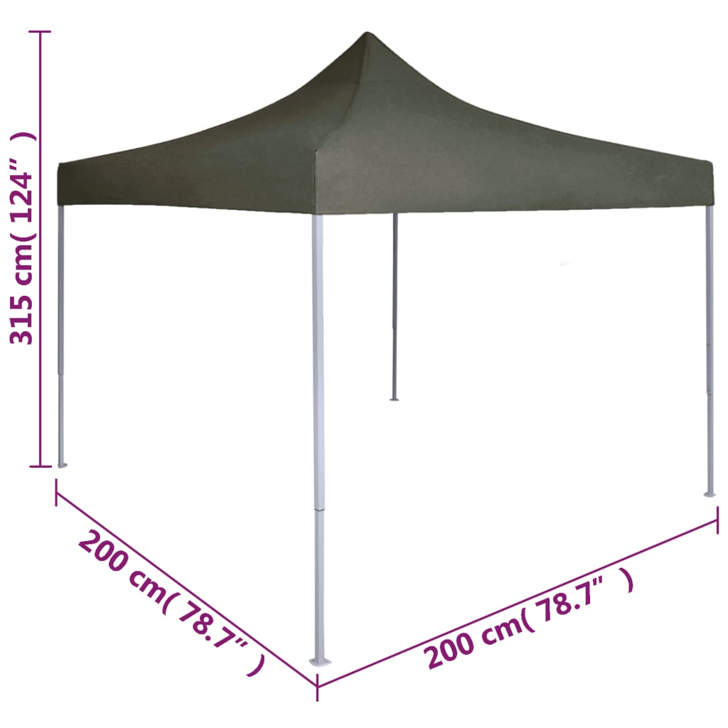 Profi-Partyzelt Faltbar 2×2 M Stahl
