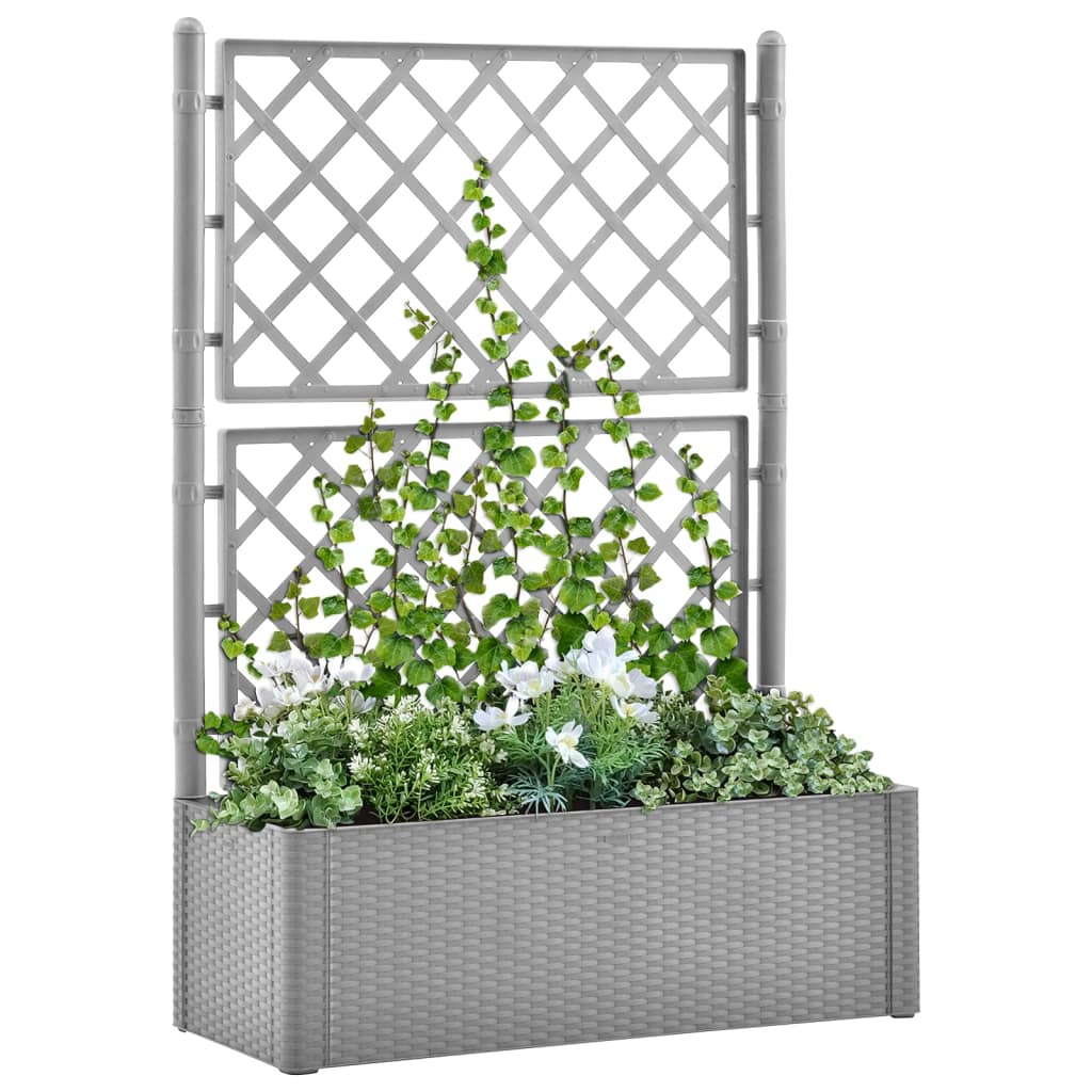 Garten-Hochbeet Mit Spalier Und Selbstbewässerungssystem