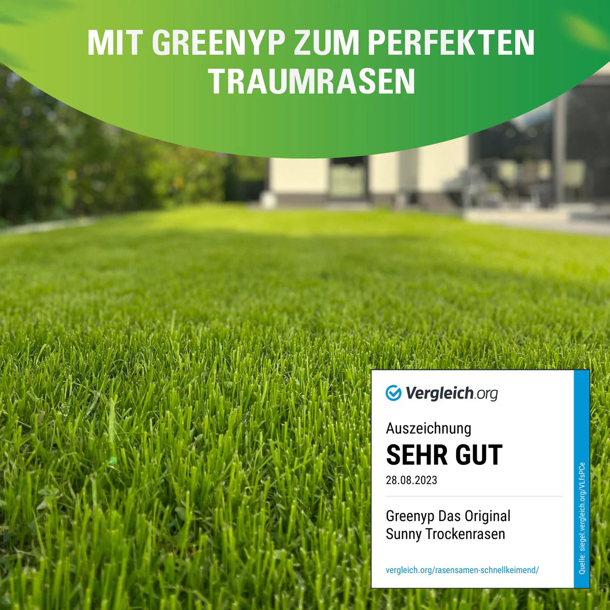 Greenyp Sunny Rasensamen | Trockenrasen