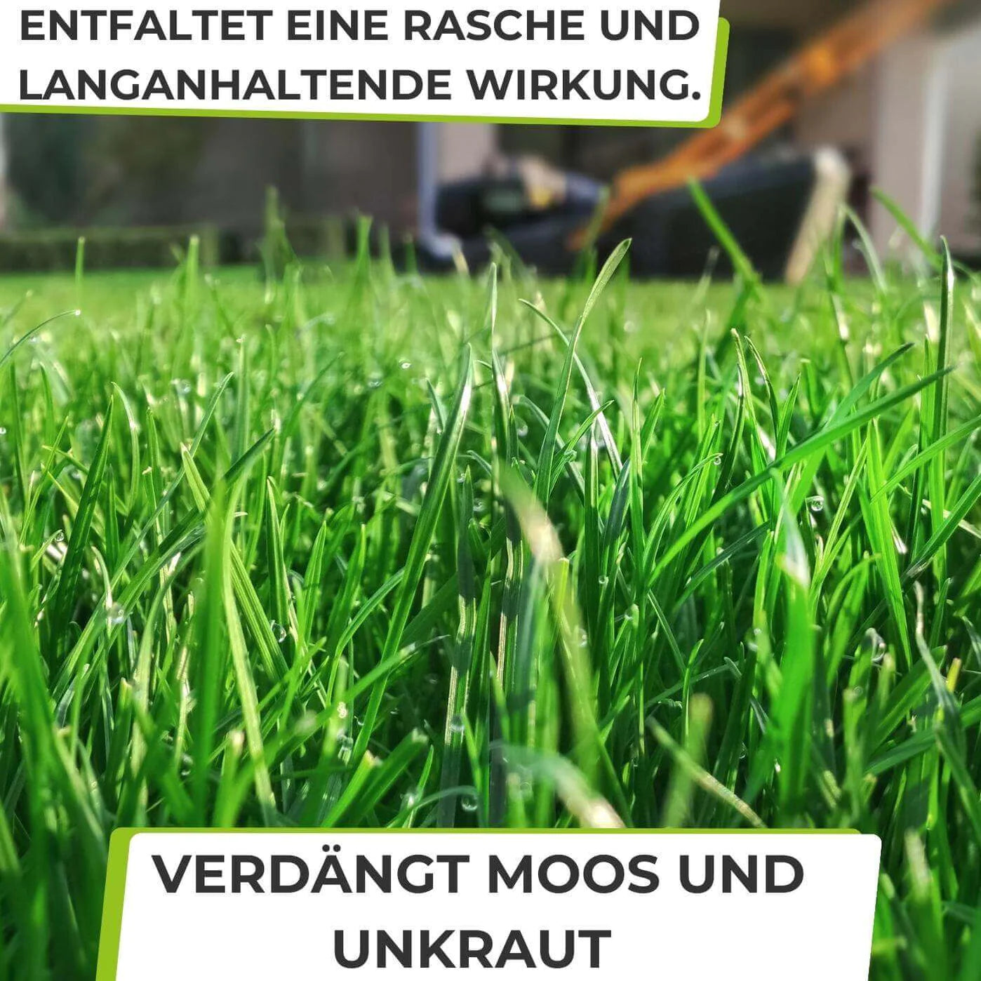 TerraUno Rasendünger Frühjahr & Sommer | mit Langzeitwirkung