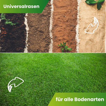Greenyp Berliner Tiergarten Rasensamen | Strapazierfähiger Universalrasen