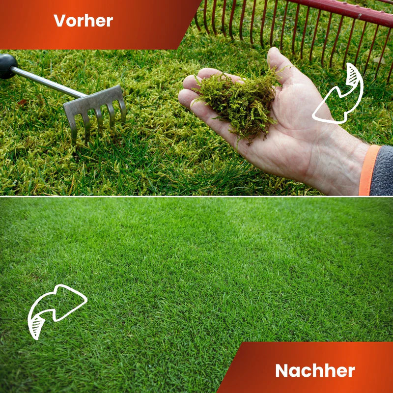 Greenyp Anti-Moos Rasendünger Dünger
