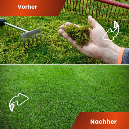Greenyp Anti-Moos Rasendünger Dünger