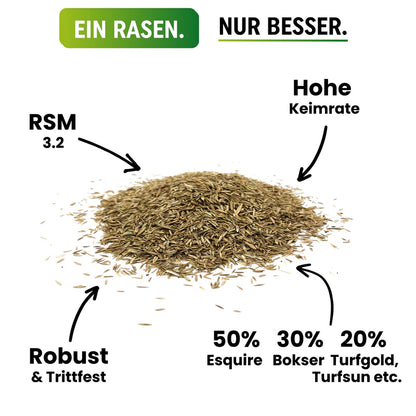 Greenyp Regeneration RSM 3.2 Rasensamen | Turbo Nachsaat