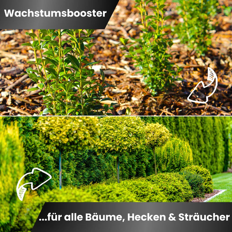 Greenyp Koniferen- & Heckendünger