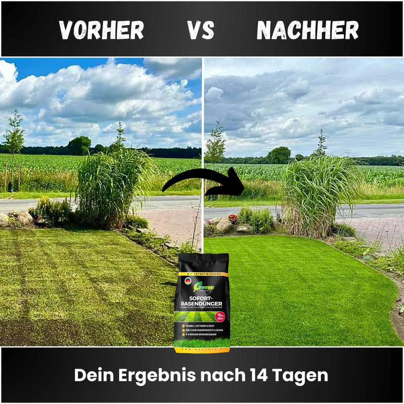 Greenyp Sofort Rasendünger Dünger Sofortdünger