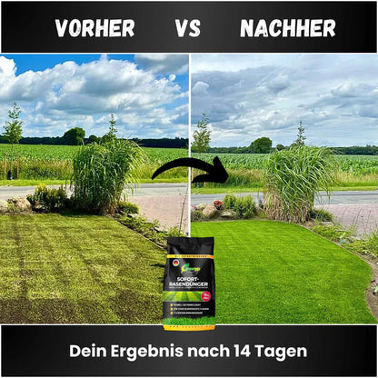 Greenyp Sofort Rasendünger Dünger Sofortdünger