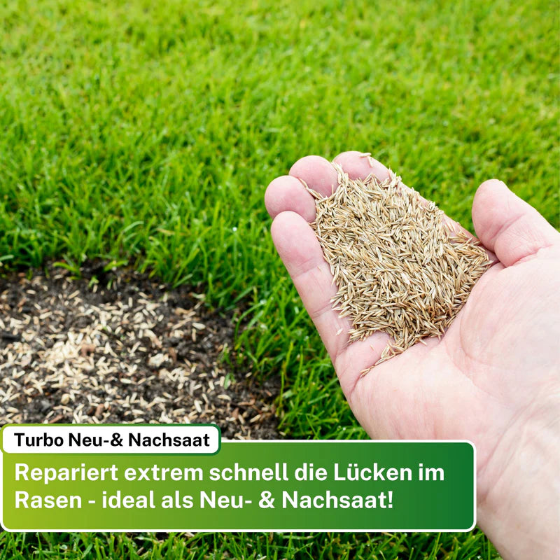 Greenyp Regeneration RSM 3.2 Rasensamen | Turbo Nachsaat