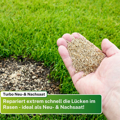 Greenyp Regeneration RSM 3.2 Rasensamen | Turbo Nachsaat