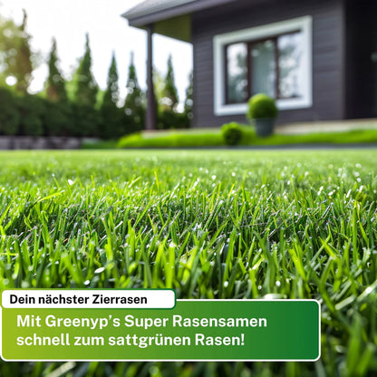 Greenyp Super Rasen Rasensamen Premium Zierrasen