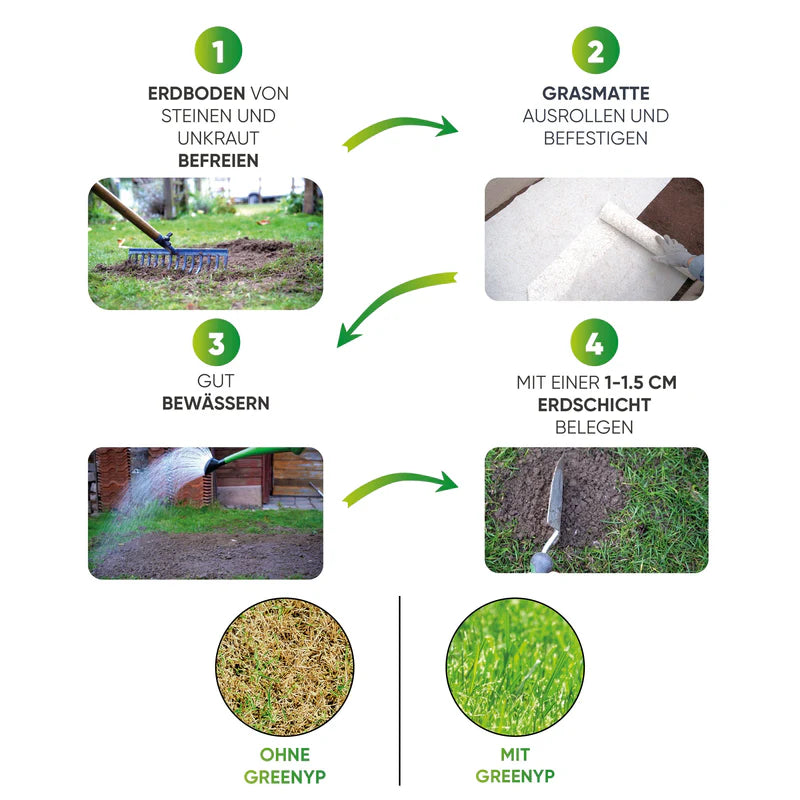 Greenyp All-In-One Rollrasen | Rasenmatte mit integrierten Rasensamen