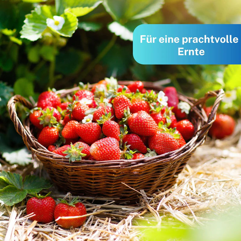 Greenyp Blaudünger | All-Round-Dünger für Obst, Gemüse, Blumen & Pflanzen