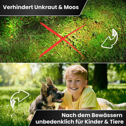 Greenyp Langzeit Rasendünger Langzeitdünger Dünger