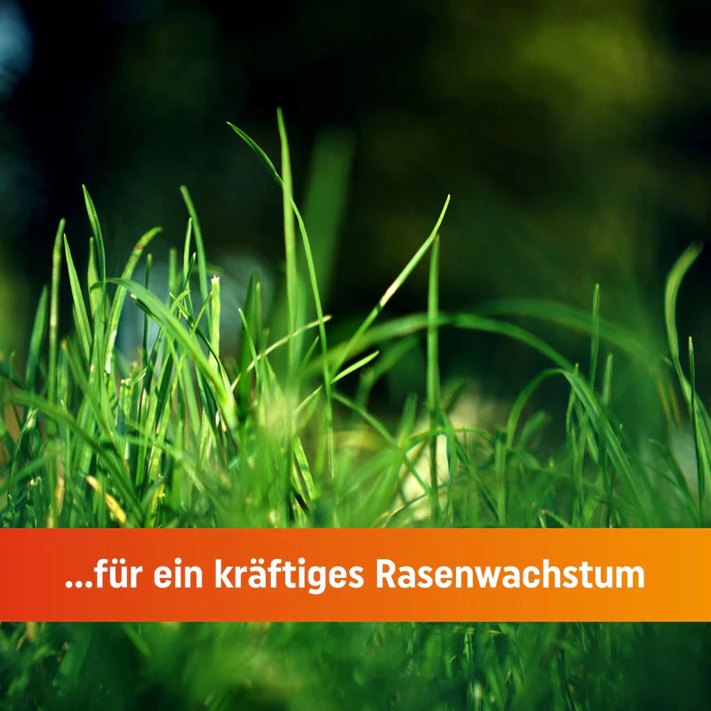 Greenyp Bio Rasendünger