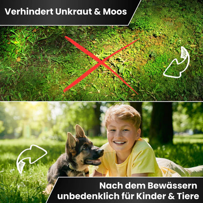 Greenyp Sofort Rasendünger Dünger Sofortdünger