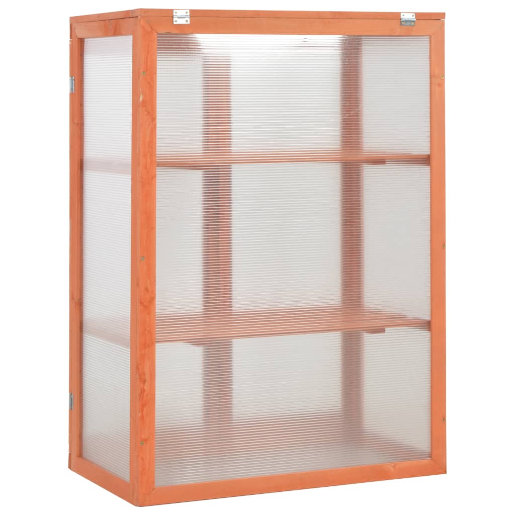 Gewächshaus-Schrank Holz 75X47X109 Cm