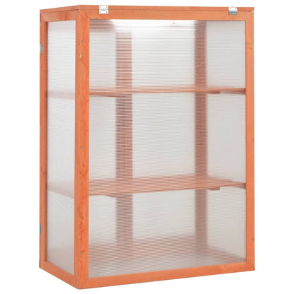 Gewächshaus-Schrank Holz 75X47X109 Cm