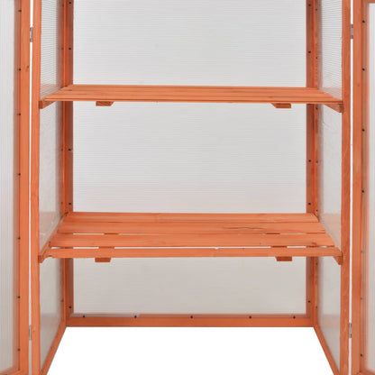 Gewächshaus-Schrank Holz 75X47X109 Cm
