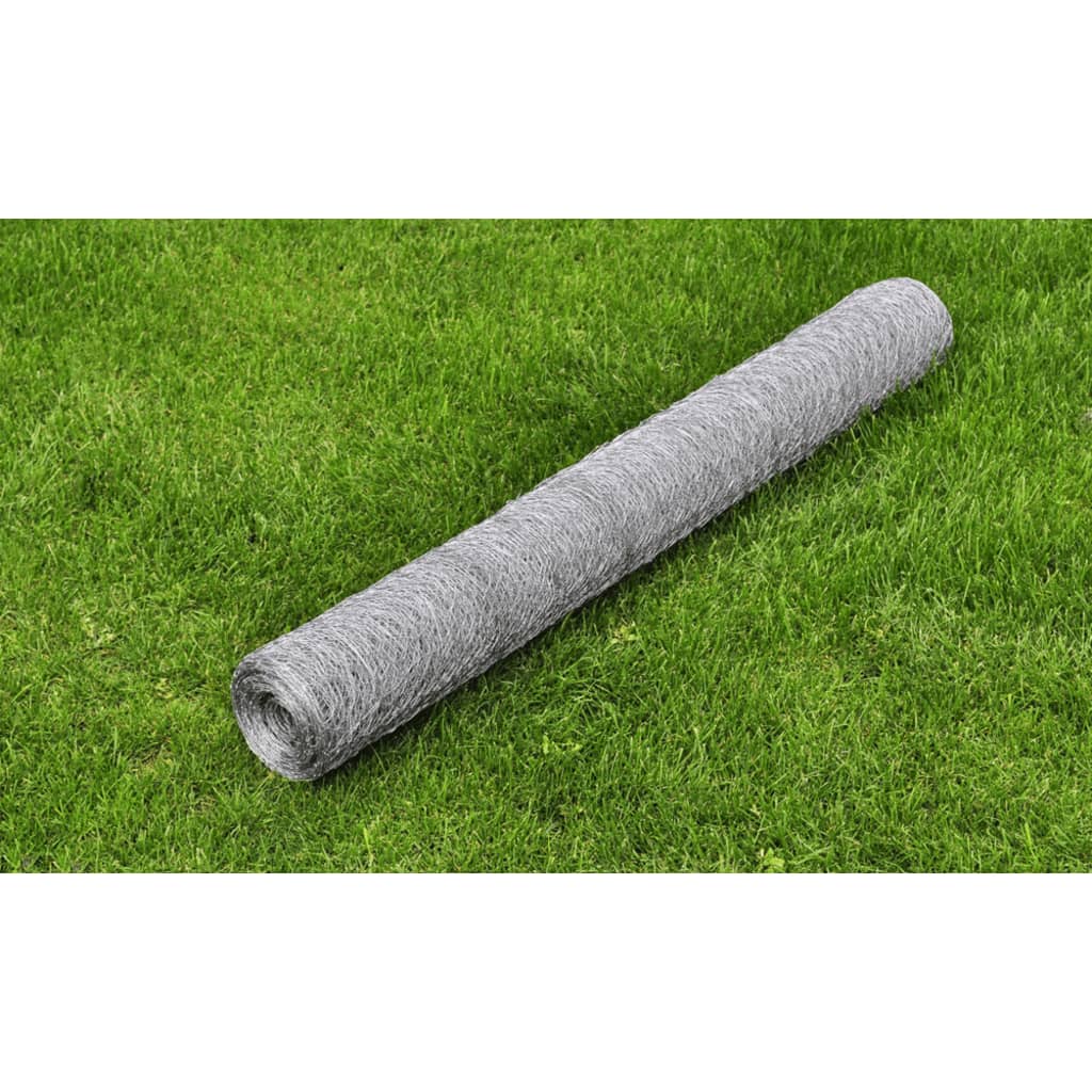 Drahtzaun Für Hühner Verzinkter Stahl 25X1 M N
