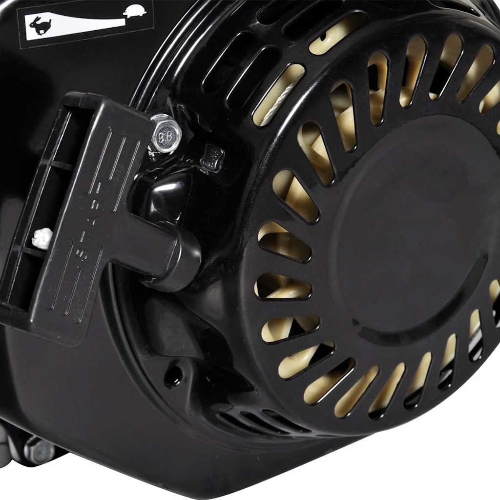 Benzinmotor 6,5 Ps 4,8 Kw Schwarz