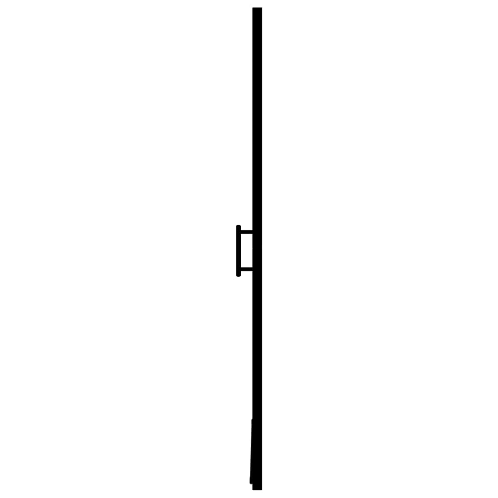 Duschtür Hartglas Schwarz