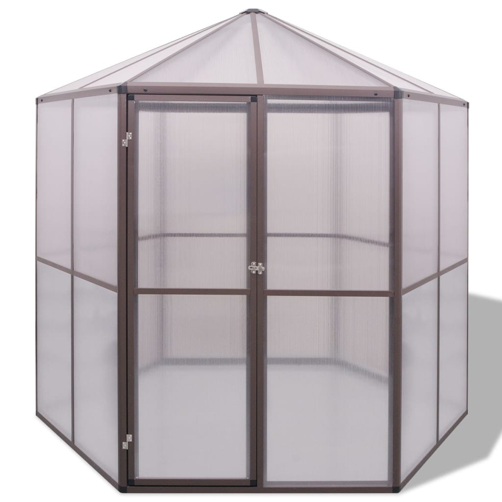 Gewächshaus Aluminium 240×211×232 Cm