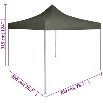 Profi-Partyzelt Faltbar 2×2 M Stahl