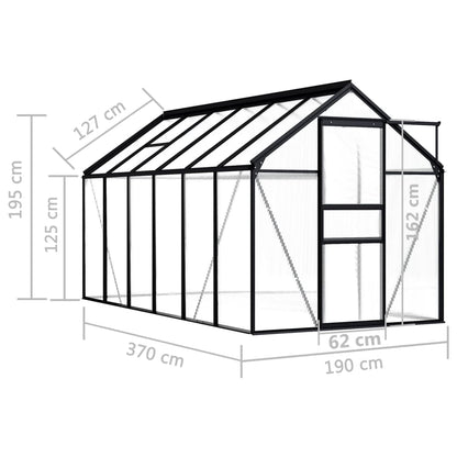 Gewächshaus Anthrazit Aluminium 7,03 M²