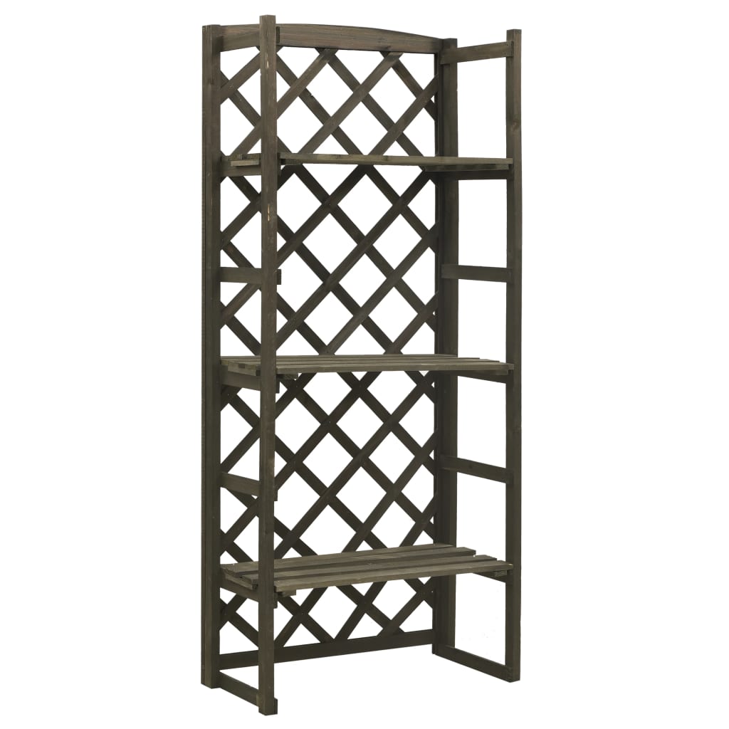 Regal-Rankgitter 60X30X140 Cm Massivholz Tanne