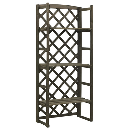 Regal-Rankgitter 60X30X140 Cm Massivholz Tanne