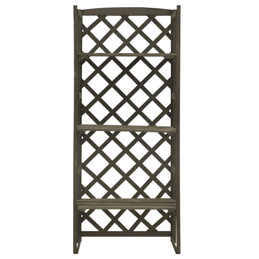 Regal-Rankgitter 60X30X140 Cm Massivholz Tanne