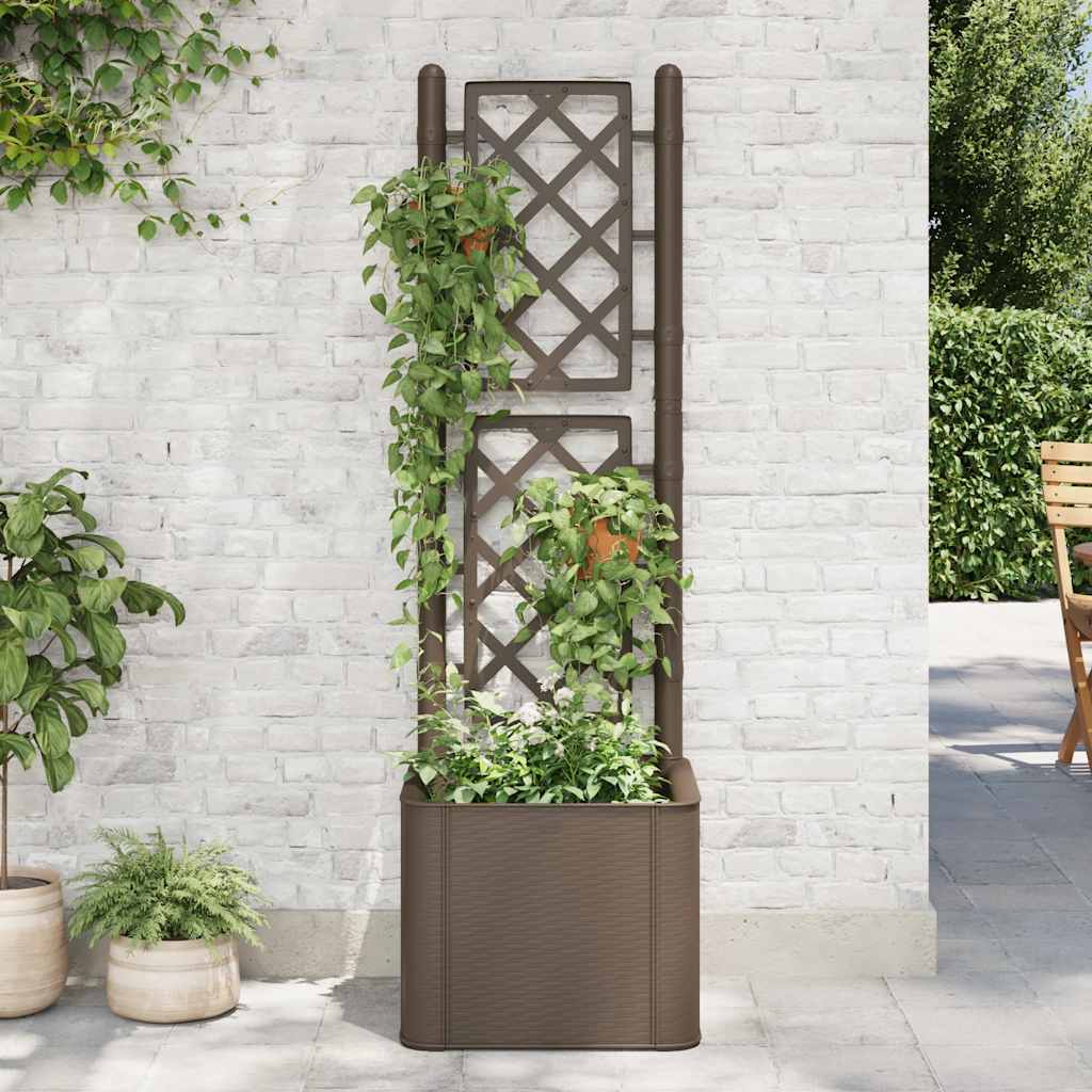 Garten-Hochbeet Mit Spalier Und Selbstbewässerungssystem