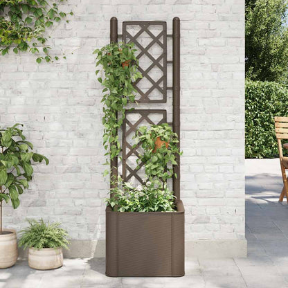 Garten-Hochbeet Mit Spalier Und Selbstbewässerungssystem