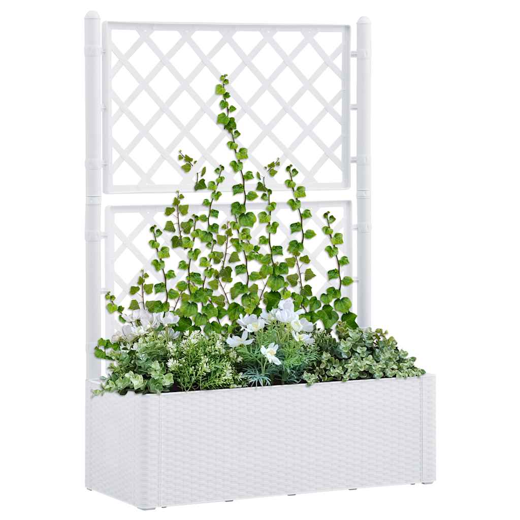 Garten-Hochbeet Mit Spalier Und Selbstbewässerungssystem