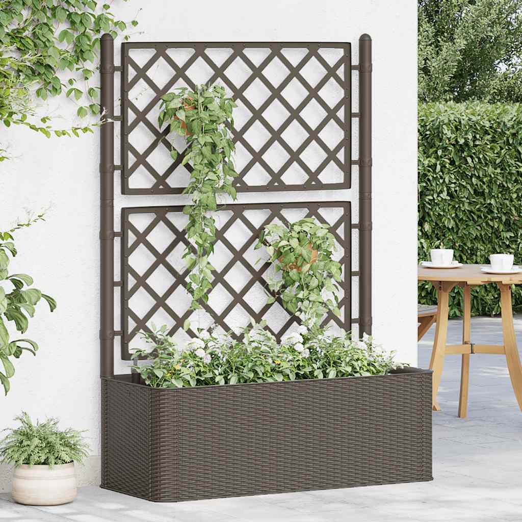 Garten-Hochbeet Mit Spalier Und Selbstbewässerungssystem