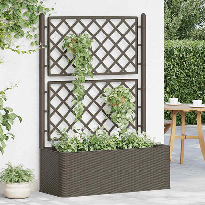 Garten-Hochbeet Mit Spalier Und Selbstbewässerungssystem
