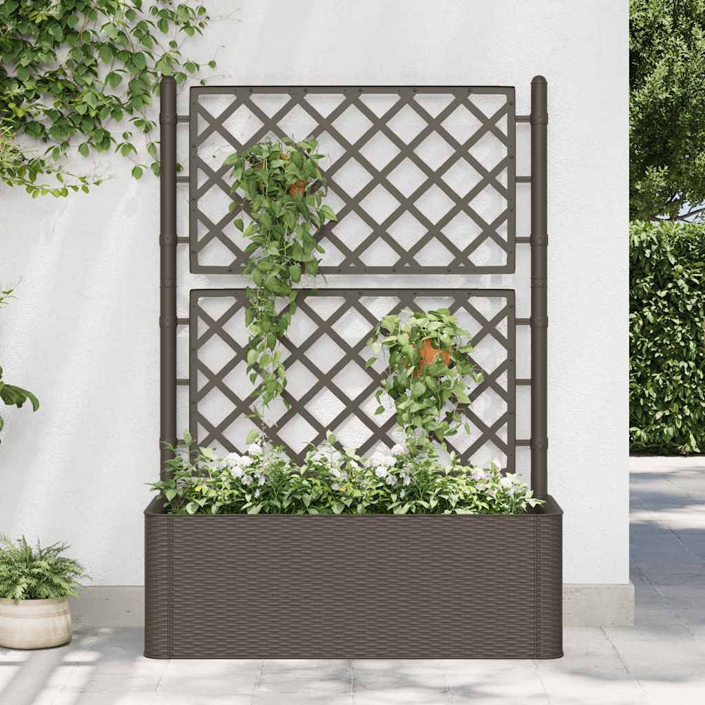 Garten-Hochbeet Mit Spalier Und Selbstbewässerungssystem