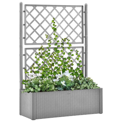 Garten-Hochbeet Mit Spalier Und Selbstbewässerungssystem