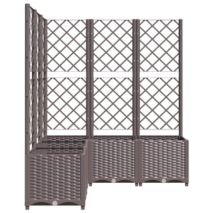 Pflanzkübel Mit Rankgitter 120X120X136 Cm Pp