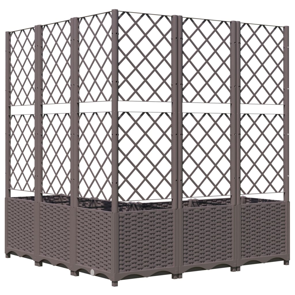 Pflanzkübel Mit Rankgitter 120X120X136 Cm Pp