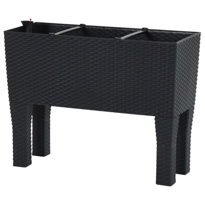 Hochbeet Anthrazit 60X25X46 Cm Pp-Rattan