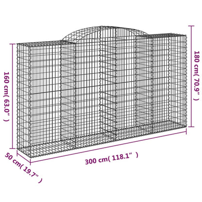Gabionen Mit Hochbogen 2 Stk. 300X50X160/180Cm Verzinktes Eisen