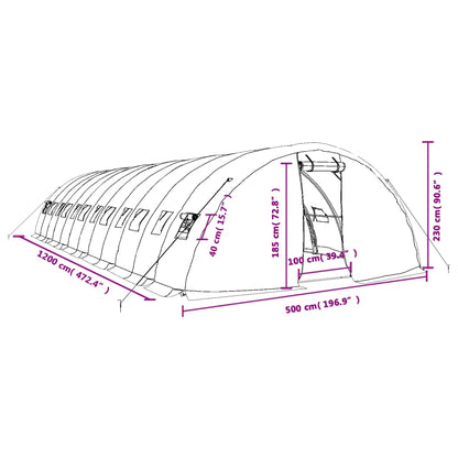 Gewächshaus Mit Stahlrahmen 60 M² 12X5X2,3 M