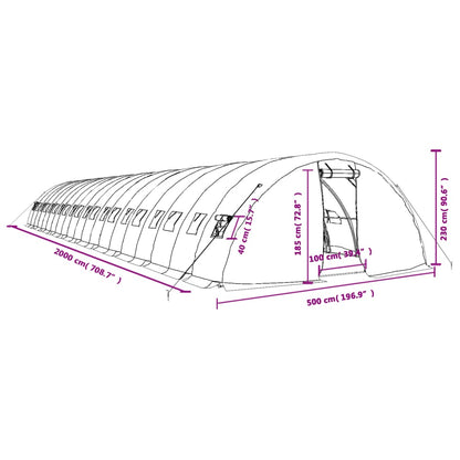 Gewächshaus Mit Stahlrahmen 100 M² 20X5X2,3 M