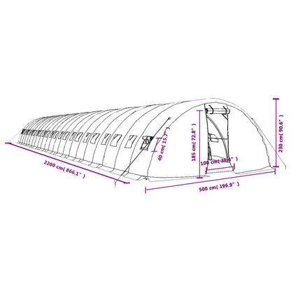Gewächshaus Mit Stahlrahmen 110 M² 22X5X2,3 M